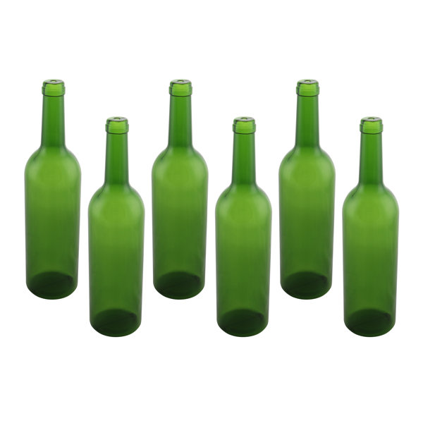 Wine Bodies Plastic Wine Bottle Empty Display Wayfair Canada